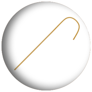 31 - Trad Cane